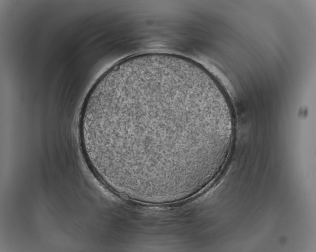 X0000093771333200711061125