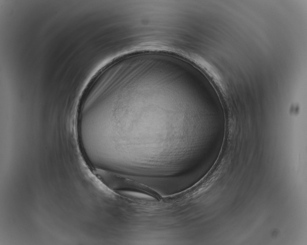 X0000093771334200711061125