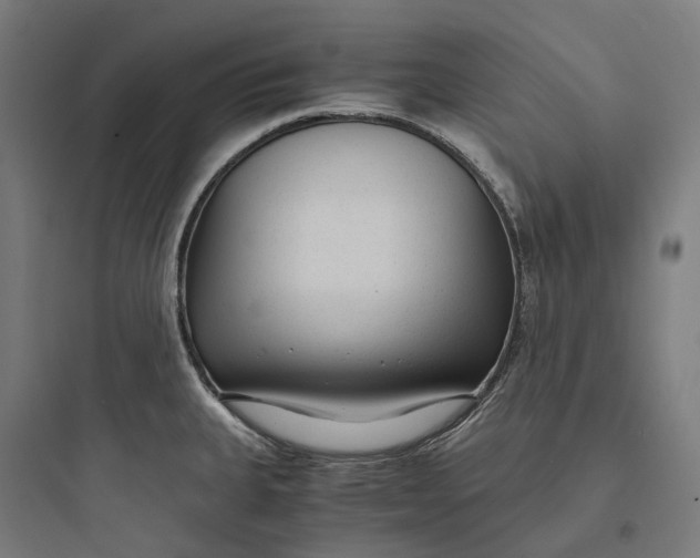 X0000093771335200711061125