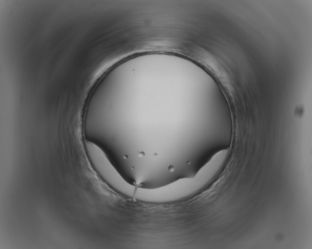 X0000093771336200711061125