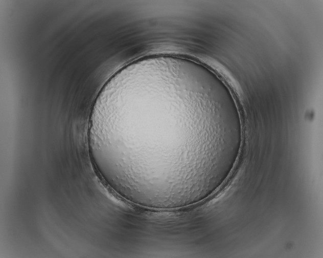 X0000093771337200711061125