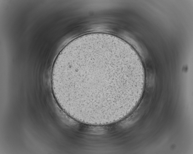 X0000093771338200711061125