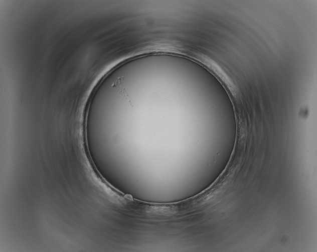 X0000093771339200711061125