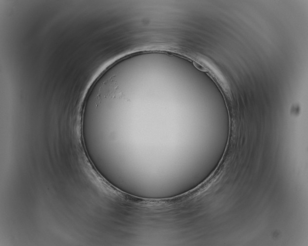 X0000093771340200711061125