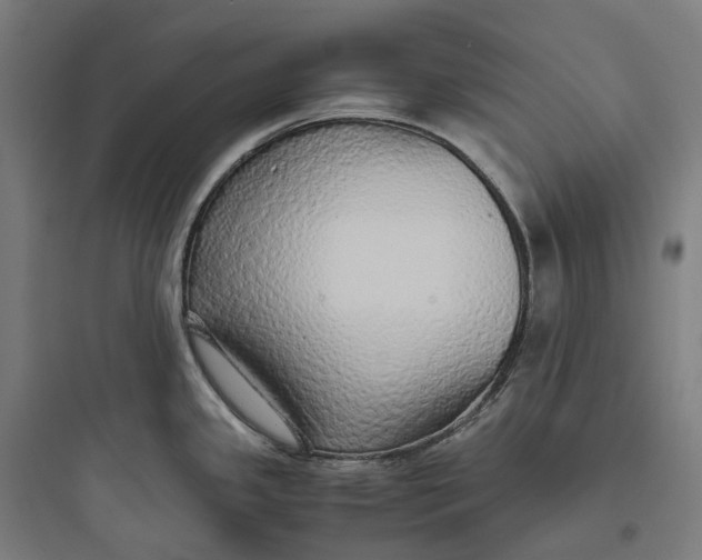 X0000093771341200711061125