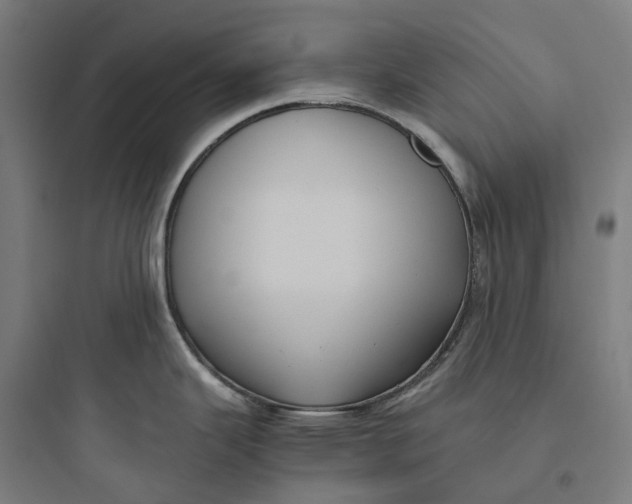 X0000093771343200711061125