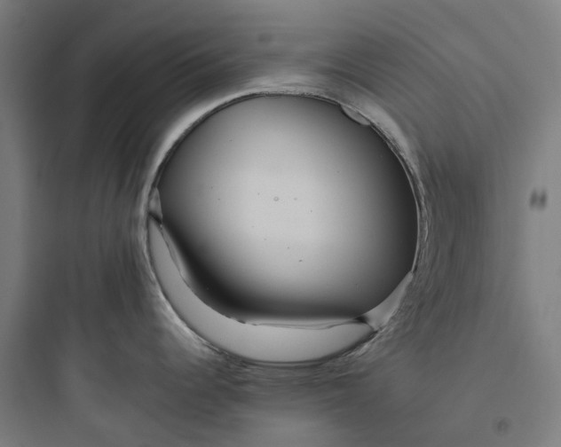 X0000093771344200711061125