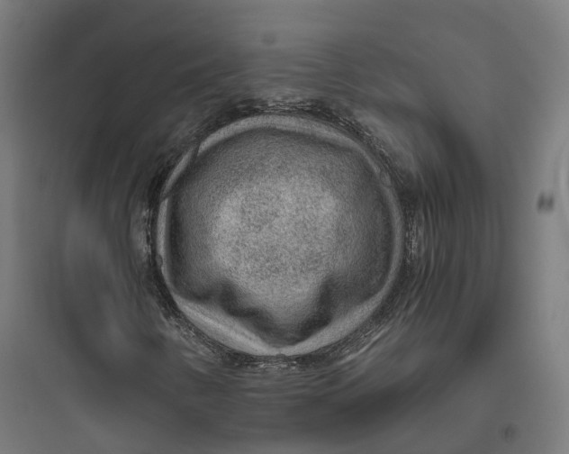 X0000093771346200711061125