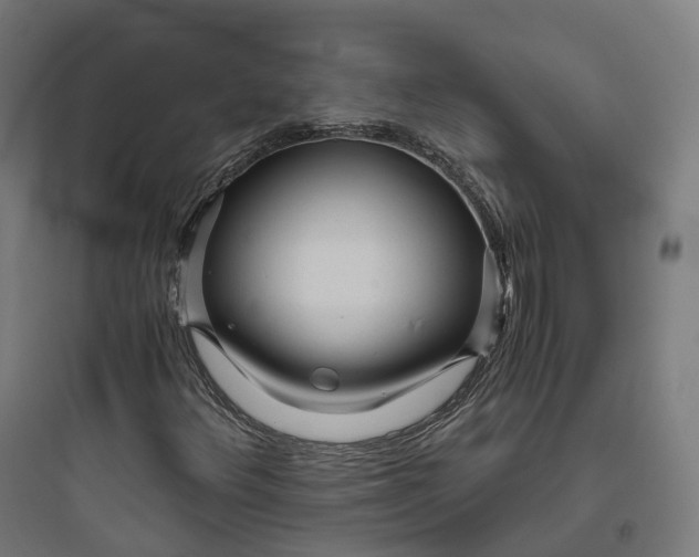 X0000093771348200711061125