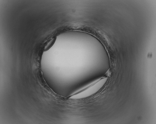 X0000093771349200711061125