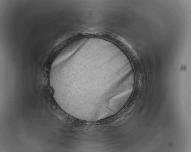 X0000093771350200711061124