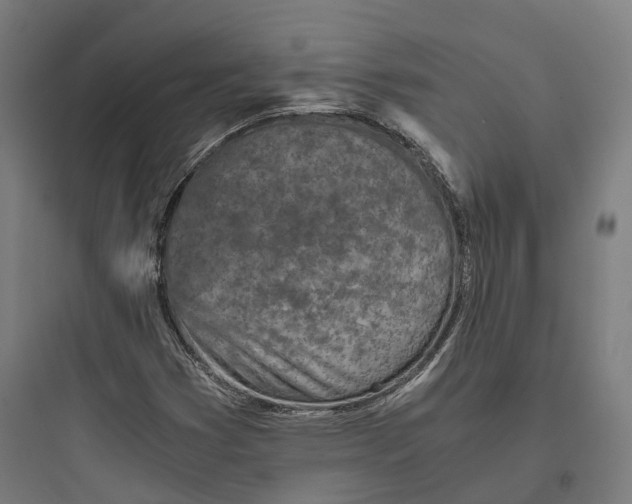 X0000093771353200711061124