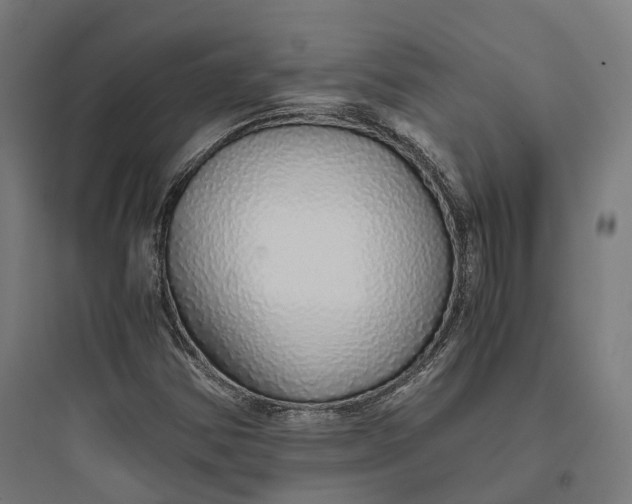 X0000093771354200711061124