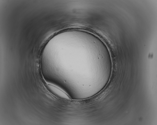 X0000093771355200711061124