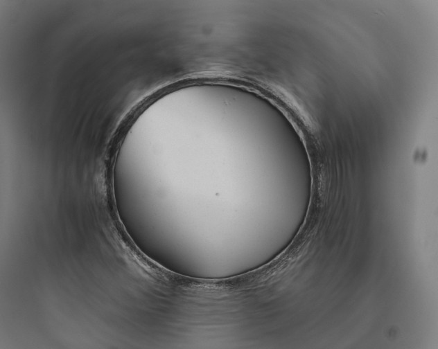 X0000093771356200711061124