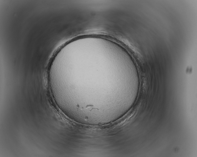 X0000093771358200711061124