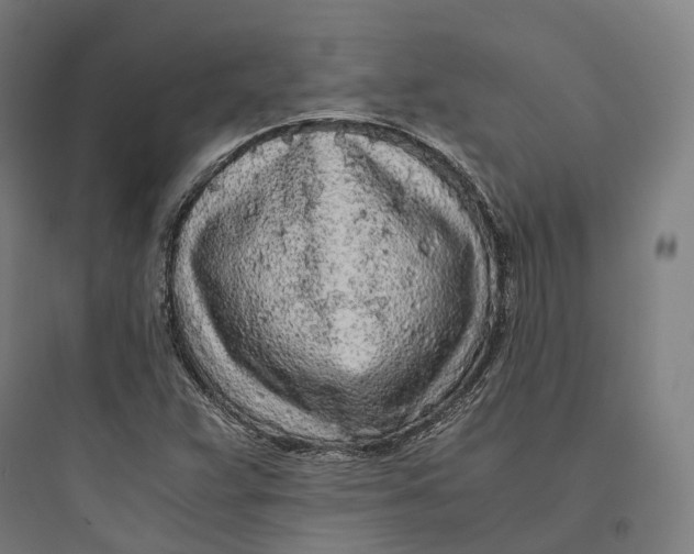 X0000093771359200711061124