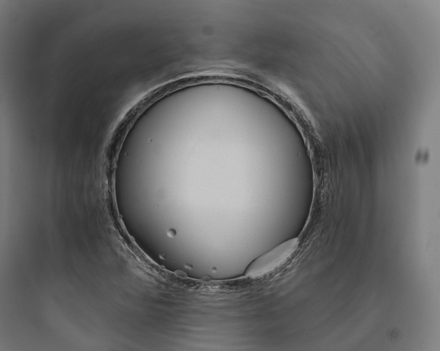 X0000093771360200711061124