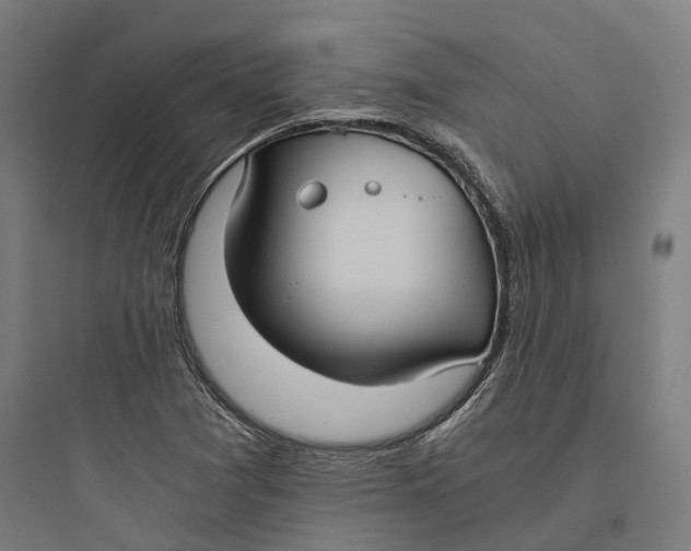 X0000093771361200711061124