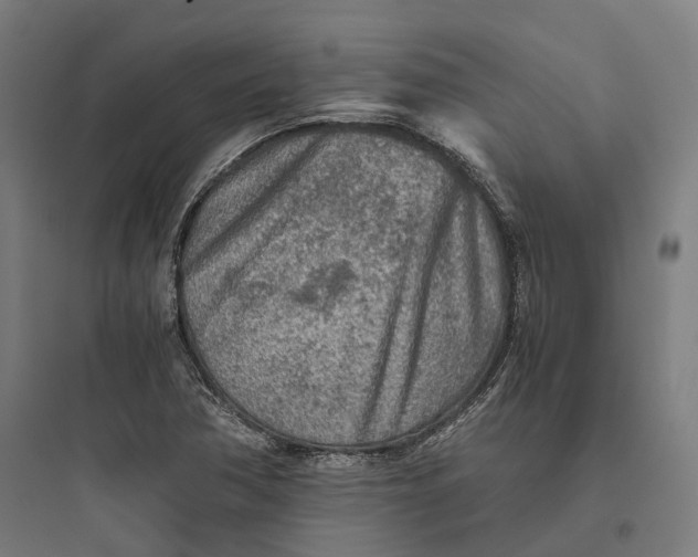 X0000093771362200711061124