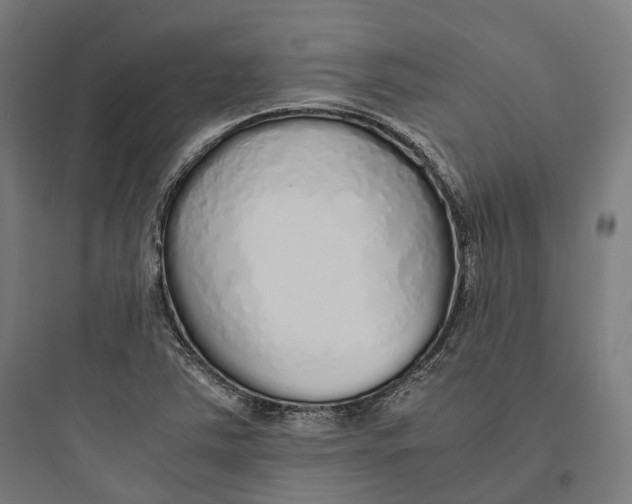 X0000093771363200711061124