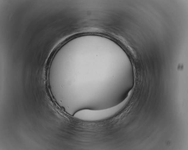 X0000093771364200711061124