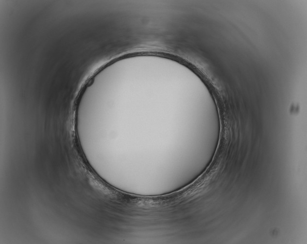 X0000093771366200711061124