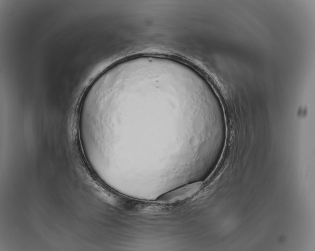 X0000093771367200711061124