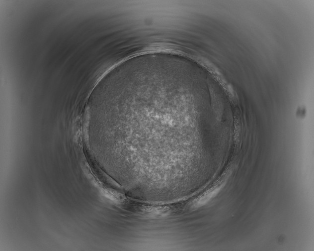 X0000093771369200711061124