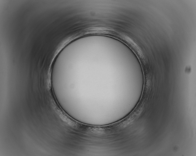 X0000093771370200711061124