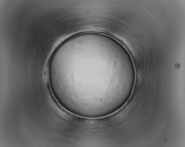 X0000093771371200711061124