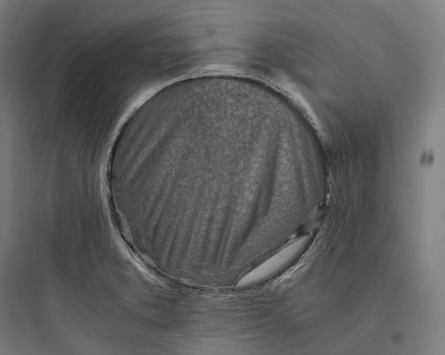 X0000093771373200711061124