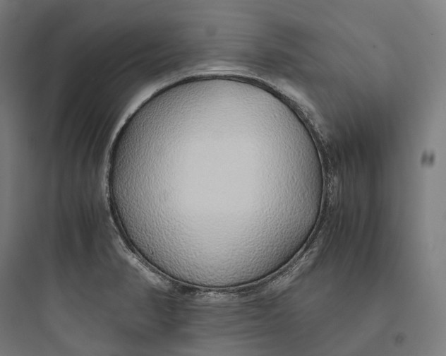 X0000093771374200711061124