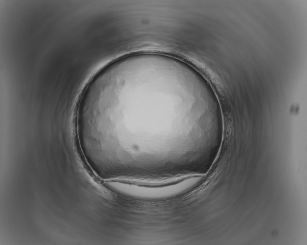 X0000093771375200711061124