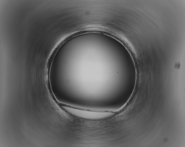 X0000093771376200711061124