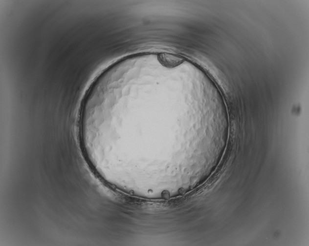 X0000093771379200711061124