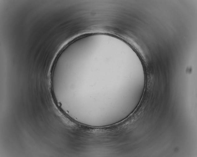 X0000093771380200711061124