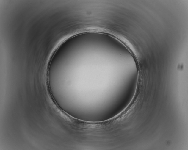 X0000093771381200711061124