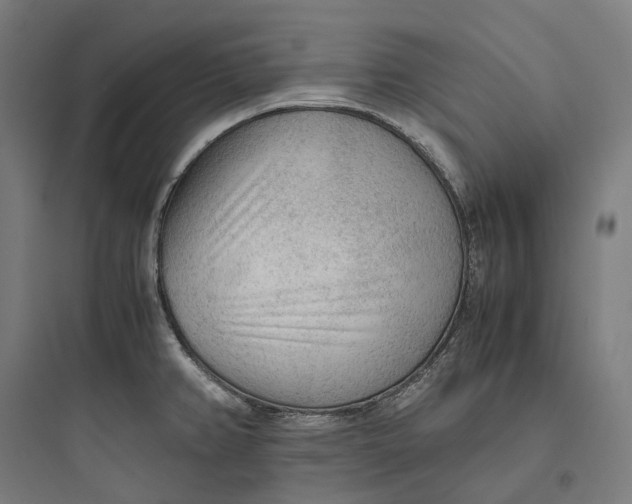 X0000093771382200711061124