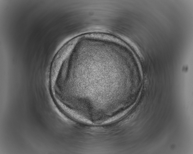 X0000093771383200711061124