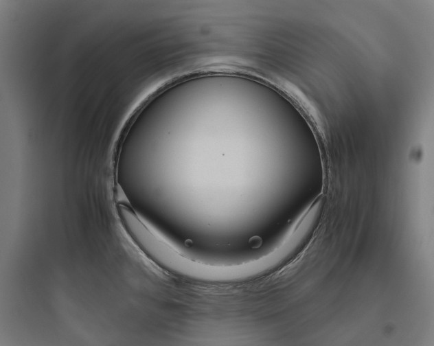 X0000093771384200711061124