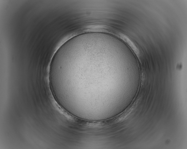 X0000093771386200711061124