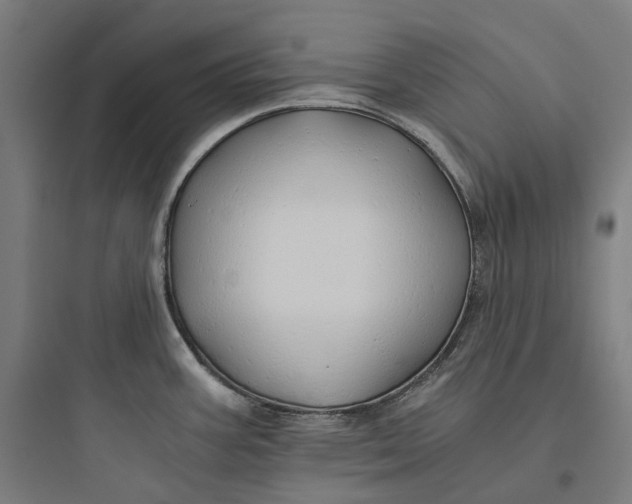 X0000093771387200711061124