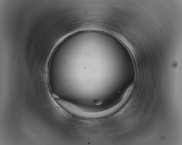 X0000093771388200711061124