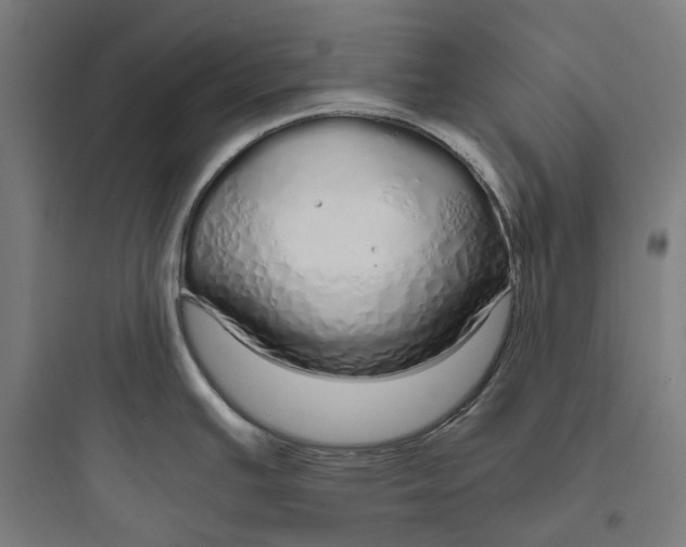 X0000093771391200711061124