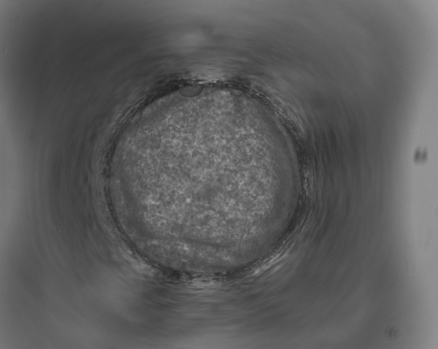 X0000093771393200711061123