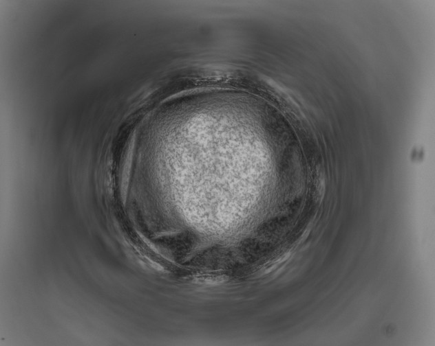 X0000093771394200711061123