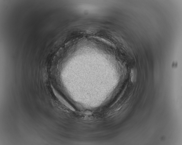 X0000093771395200711061123