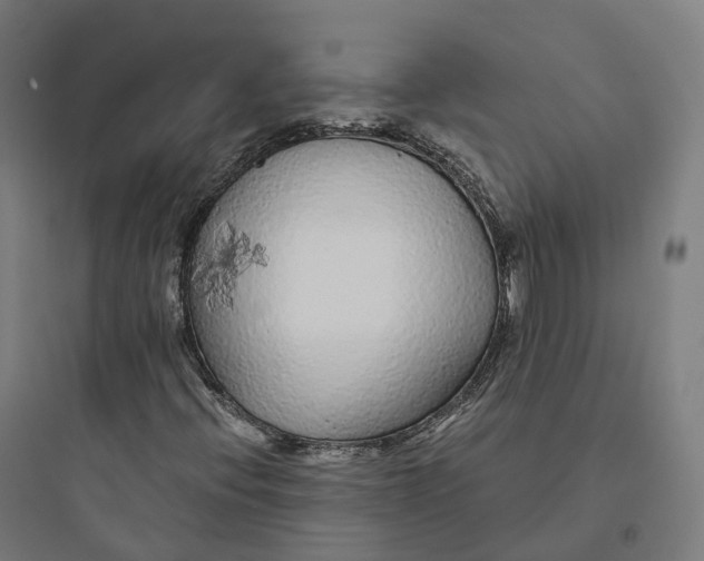 X0000093771396200711061123