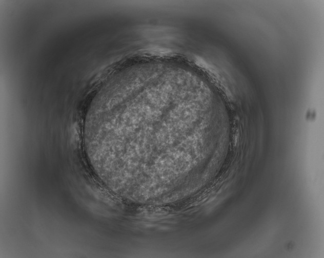 X0000093771397200711061123